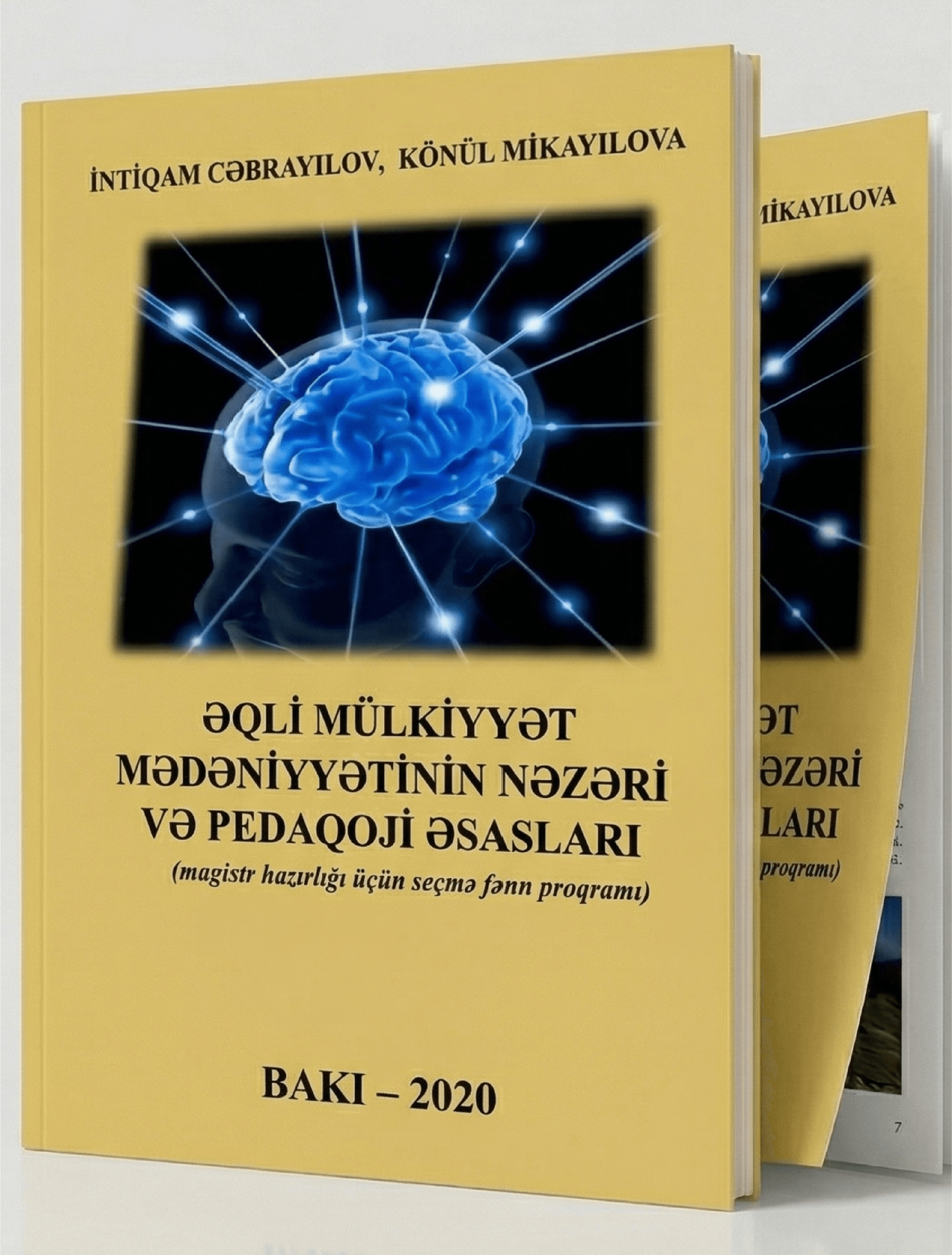 Əqli Mülkiyyət Mədəniyyətinin Nəzəri və Pedaqoji Əsasları